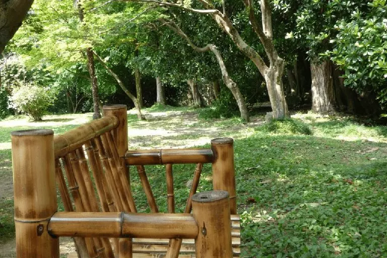 Ботанічний сад Батумі - унікальна природна пам'ятка — Експертні поради та огляди нерухомості на GEOLN.COM. Фото 3