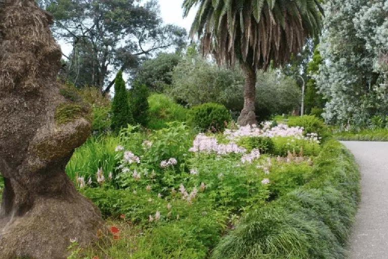 Ogród botaniczny w Batumi: wyjątkowa atrakcja przyrodnicza — Porady ekspertów i recenzje nieruchomości na GEOLN.COM. Zdjęcie 1