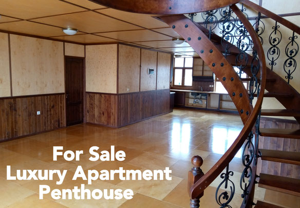 Tbilisi Penthouse / Luxury Apartment for Sale