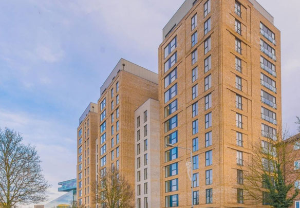 Insignia Place