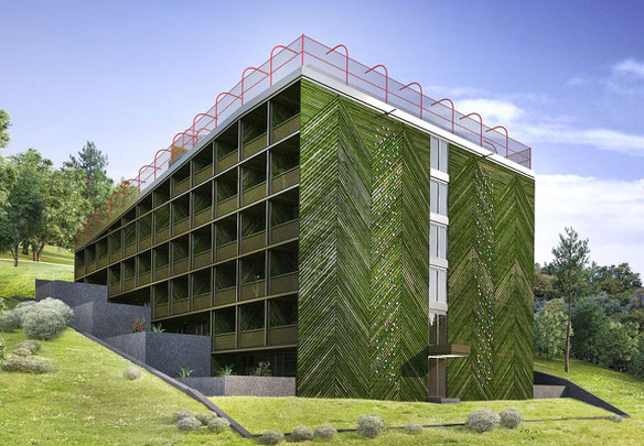 Dux Landmark Bakuriani