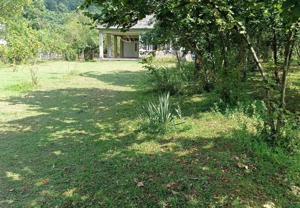 A plot of land for sale in the village of Likhauri