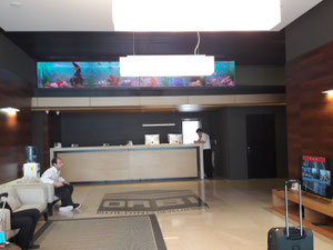 Orbi Residence ცალკე საძინებელი ბინა — უძრავი ქონების ყიდვა და მფლო ბელებისგან GEOLN.COM. ფოტო 12