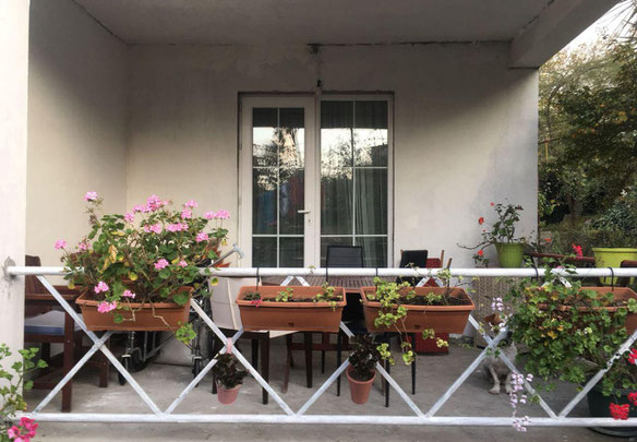 Casa reformada con gran parcela