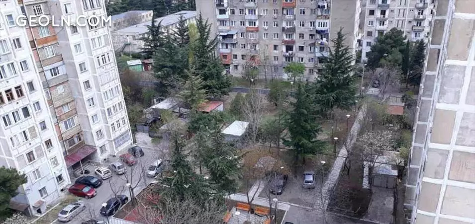тбилиси вазисубани