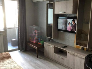 דירת 2 חדרים למכירה — חיפוש נדל"ן מפרטי ומקבלן GEOLN.COM. תמונה 11