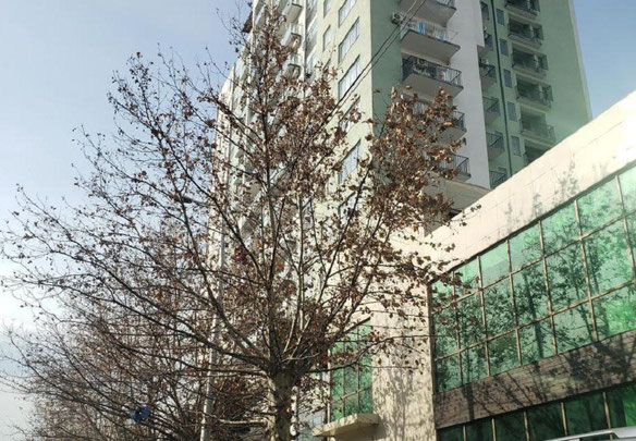4 room apartment in Ortachala. Apartment without intermediary in Tbilisi