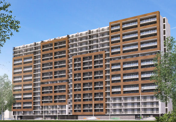 Archi Dighomi 2D