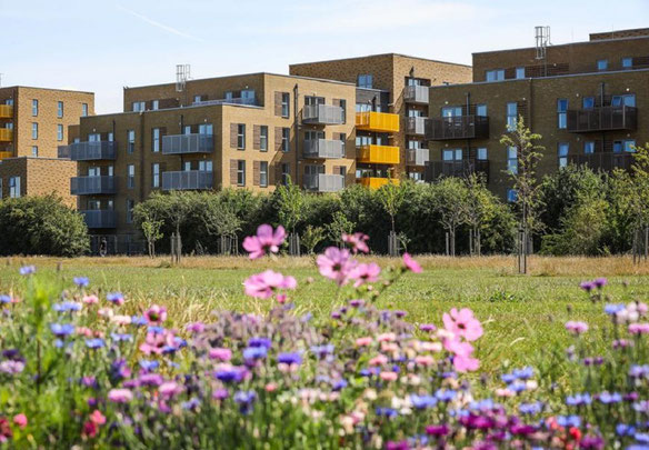 Rectory Park