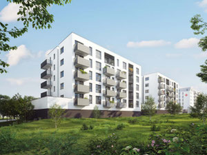 უძრავი კონება Chojny Park — გადახედეთ უძრავი ქონების საძიებო სისტემას GEOLN.COM. ფოტო 9