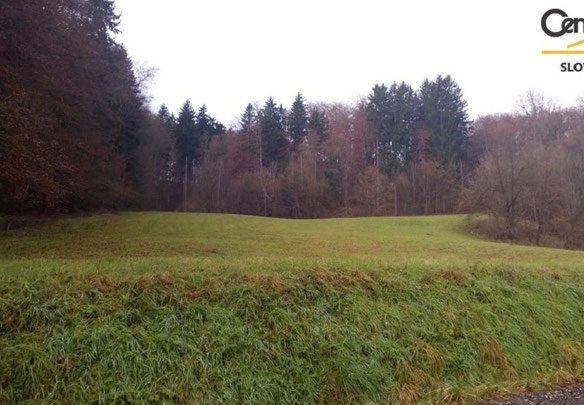 Slovenya, Zgornja Kungota'da köy evi