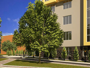 უძრავი კონება Club House "Sunny" — გადახედეთ უძრავი ქონების საძიებო სისტემას GEOLN.COM. ფოტო 5