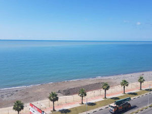 შავი კარკასი ახალ კორპუსში — უძრავი ქონების ყიდვა და მფლო ბელებისგან GEOLN.COM. ფოტო 5