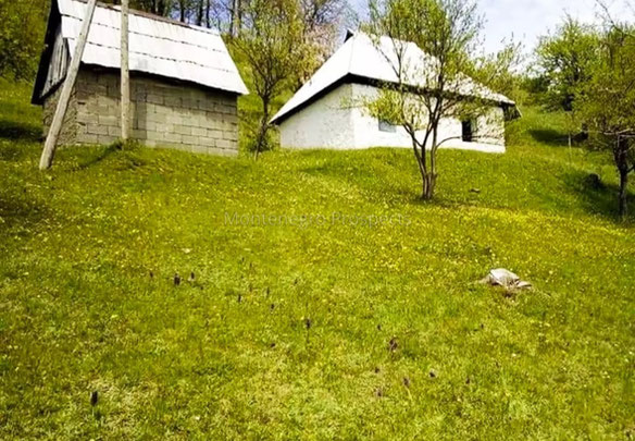 Montenegro. 9 km from Mojkovac towards Bijelo Polje, a rural estate of 3.1 hectares is for sale.